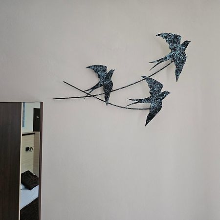Cosy Studio 9 Святые Константин и Елена Экстерьер фото